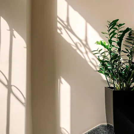 Curcumelli Luxury Apartament
